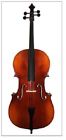 Vc-110  Vianna Cello String Bass Musical Instrument Violin Group Case And