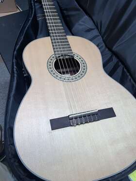 N550ew Walden N550e Natura Classical Acoustic Electric Guitar Open Pore Satin Natural