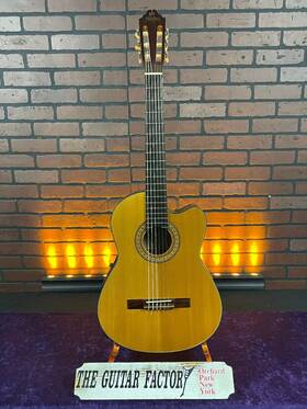 Washburn C64ce-0310-u C64sce Classical Nylon String Acoustic Electric Guitar With Hard Case