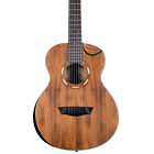 Wcgm55k-d-u Washburn Comfort Series Koa Acoustic Guitar Gig Bag