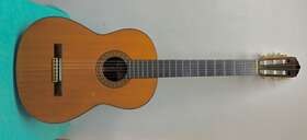 Cg-10d Yamaha Rare 1972 Concert Classical Guitar And Case