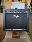 Peavey Audition 110 Guitar Amplifier Works As Designed Sound Great Tested 50. Fixed Price $120.00.