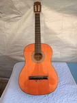 Eagle 4357 6-STRING Classical Guitar Brown Standard Wood 19 Frets W/ Hard Case. Fixed Price $200.00.