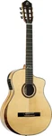 Signature Series Billy Watman Acoustic-electric Nylon Classical Guitar W/ Bag. Fixed Price $1199.99.