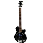 Pignose PGG-259 Bk Mini Guitar (built-in Amplifier), Good Condition.. Fixed Price $251.00.