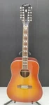 Epiphone Humming Bird 12 String Acoustic Electric Guitar. Fixed Price $819.99.