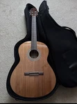 Greg Bennett Acoustic Guitar CS9-1 W/case. Fixed Price $120.00.