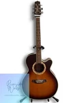 Takamine Electro-acoustic Guitar. Fixed Price $925.50.
