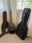 Daisy Rock Wildwood Acoustic/electric Guitar Rainbow Sparkle. Fixed Price $578.48.