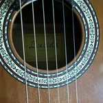 Lucida 12-STRING Acoustic-electric Cutaway Guitar Brown. Fixed Price $352.94.