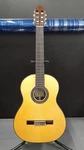 Aria A-50S Classical Guitar. Fixed Price $562.99.