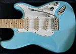 Electric Guitarjay Turser JT-300 W/ Hard Case. Fixed Price $195.00.