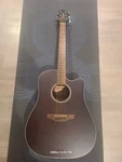 Takamine Series Dreadnaught GD21CE-SM Acoustic Electric Guitar Back Damage. Fixed Price $242.25.