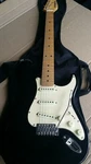 Behringer Electric Guitar N0381902260 With Soft Case Lw. Fixed Price $197.00.