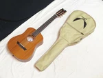 Dean Flight Nylon Mahogany Acoustic Travel Guitar 3/4 New W/ Gigbag. Fixed Price $189.00.