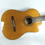 Ibanez Salvador GA5-AM-14-02 Classical Guitar 6 String. Needs. Fixed Price $80.00.