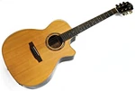 Teton STA180CENT-AR Cutaway Dreadnaught Acoustic Electric Guitar. Fixed Price $299.99.