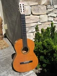 Alhambra S.a. Muro De Alcoy Spanish Classical Guitar Spain. Fixed Price $169.00.