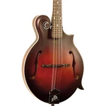 The Loar LM-310F Hand-carved F-style Mandolin Vintage Brown. Fixed Price $429.99.