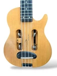 Electric Traveler Guitar + New Acoustic Lead Amplifier. Fixed Price $300.00.