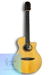 Yamaha NTX900FM Electric Gut Guitar. Fixed Price $748.99.