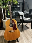 Eco Specification 2009 Made Gibson J-50 An Acoustic Guitar NO.YG1243. Fixed Price $3968.00.