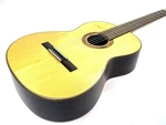 (free Shipping) Armin Hanika 54PF. Fixed Price $1055.00.