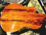 Nice Di Giorgio Talent SL1 Classical Electric Guitar Braziliian Rosewood. Fixed Price $1999.00.