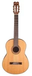 Jasmine JC27-NAT J-series Classical Guitar, Natural. Fixed Price $319.00.