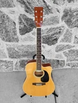 Rw Jameson Thinline Acoustic Electric Guitar. Fixed Price $119.99.