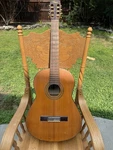Tokai Acoustic Guitar. Fixed Price $81.00.