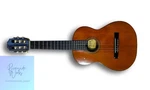 Pepe Guitar Aria PS-48. Fixed Price $519.81.