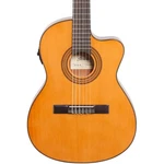Ibanez GA5TCE Thinline Acoustic-electric Classical Guitar, Spruce Top. Fixed Price $299.99.