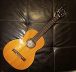 Di Giorgio Classico NO.16 Classical Acoustic Guitar 1972 Natural Made In Brazil. Fixed Price $1500.00.