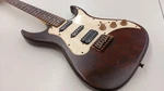 Axl Guitars AS-820 Electric. Fixed Price $307.99.
