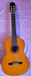 Yamaha CG110-A Guitar Nylon String With Soft Fender Case. Fixed Price $99.98.