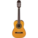 Ibanez Classical Series GA1 Acoustic Guitar With Spruce Top, Rosewood Fretboard,. Fixed Price $129.99.
