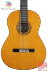Yamaha GC22C Series Classical Guitar. Fixed Price $980.56.