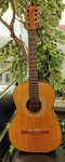 Gibson C-0 Classical Guitar 1964 Kalamazoo Usa Vintage Nylon String. Fixed Price $578.23.