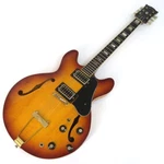 Electric Guitar Used Elk SAG-540 Semi-acoustic Sunburst 22FRET Right-handed. Fixed Price $780.17.