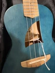 Eddy Finn Concert Blue Bamboo Ukulele W/deluxe Gig Bag. Fixed Price $89.99.