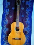Ibanez Salvador Classical Guitar Gut. Fixed Price $555.99.