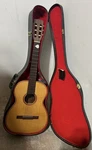 Giannini Awn 60 Nylon Acoustic Guitar 1970 With Case. The Year Not Displayed. Fixed Price $199.00.