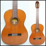 Aria AC-8 Classical Guitar, Made In Japan, 1970S, Rare Model, Solid Top. Fixed Price $350.00.