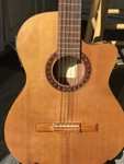 2004 Di Giorgio Rare Vintage Classical Bossa Nova Guitar-thin Body. Fixed Price $3500.00.