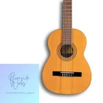 Rare 1995 Raimundo MOD-1491 Spanish Handmade Guitar. Fixed Price $805.34.