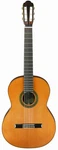 Aria A-100C All Single Plate Classical Guitar Cedar Rosewood Outlet Sa. Fixed Price $1108.19.