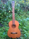 Yamaha G-50A Classical Guitar, Made In Japan, 1971, Excellent Used Condition. Fixed Price $435.00.