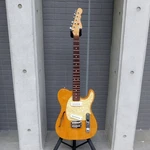 G&l Asat Special Thinline Semi-hollow Usa Made Used. Fixed Price $2648.72.