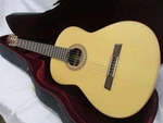 Karl Hofner Classic Guitar HM65-F Vintage Quality. Fixed Price $1030.78.